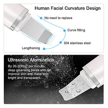 Carica l&#39;immagine nel visualizzatore di Gallery, Pulizia Viso Ultrasuoni, HailiCare Face Scrubber ad Ultrasuoni Professionale... - Ilgrandebazar