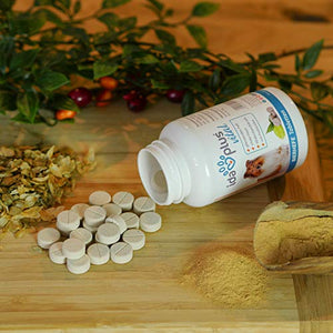Ida Plus Birra hefe Compresse con SOLL rottura stelle – per Cani – 120 pezzi...