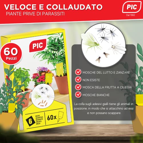 Insetticida moscerini piante interno adesivi gialli 60 Trappole - Moscerini in casa - trappola moscerini - trappola per moscerini - PIC