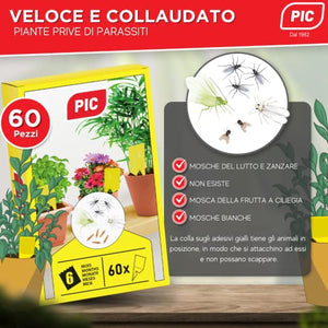 Insetticida moscerini piante interno adesivi gialli 60 Trappole - Moscerini in casa - trappola moscerini - trappola per moscerini - PIC