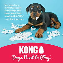 Carica l'immagine nel visualizzatore di Gallery, KONG - Puppy Gioco Gomma Naturale per dentizione - Masticare e Medium