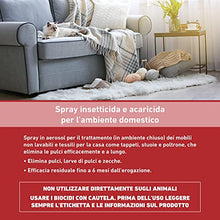 Carica l&#39;immagine nel visualizzatore di Gallery, FRONTLINE Homegard Spray Insetticida, Antipulci per Ambienti ad Azione Rapida, Protegge Mobili e Tessili di Casa, Elimina Pulci, Zecche, Uova e Larve fino a 6 mesi, Formato 250 ml