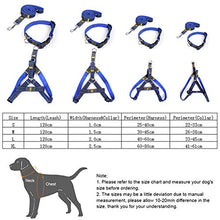 Carica l&#39;immagine nel visualizzatore di Gallery, Set guinzaglio per Cani Collare in Denim Gatto di Small, Nero - Ilgrandebazar