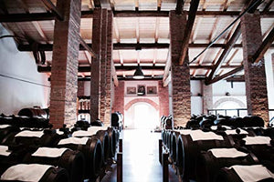 Bonini Produttore di Aceto Balsamico Tradizionale Modena DOP, Condimento...