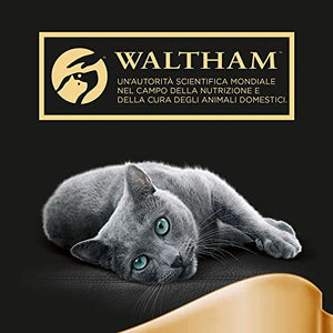Sheba Paté Classics, Cibo per Gatto con Pollo, 85g - 22 Vaschette