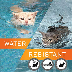 Collare per pulci di Gatto-Collare insetticidi gatto-12 Mesi gray