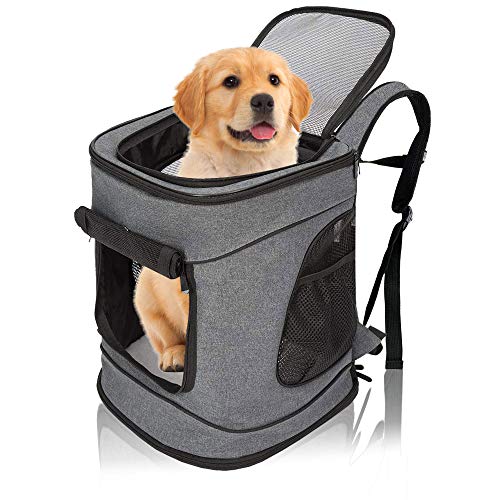 Petcute Zaino Zaino Porta Cane Amazon Cane Taglia Ferplast