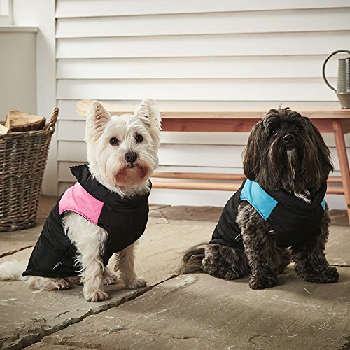 Bunty Dog Puppy Pet Warm Isolato Imbottito Cappotto Spessa Giacca L, rosa