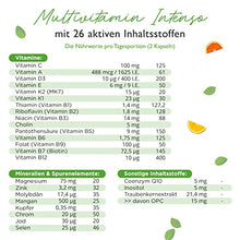 Carica l&#39;immagine nel visualizzatore di Gallery, Premium Multivitamin AZ - 365 capsule ad alto dosaggio con forme bioattive e materie prime di marca - Vitamine + minerali - Testato in laboratorio - Vegano