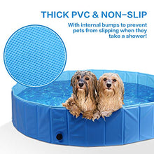 Carica l&#39;immagine nel visualizzatore di Gallery, Pecute Piscina per Cani Grande e Media XL: 160x30cm, Blu