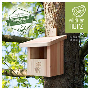 Cuore di Animali Selvatici | Nido per Pettirosso in Legno - Casetta per...