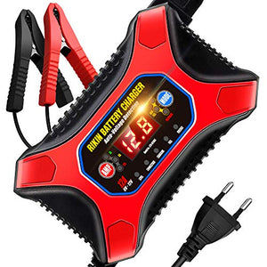 RIKIN Caricabatteria Auto di Carica 6V/12V 12A Mantenitore Carica...