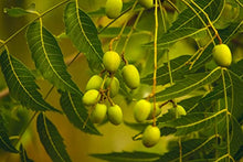 Carica l&#39;immagine nel visualizzatore di Gallery, 4