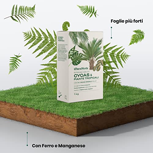 Concime Per Piante Verdi E Tropicali 1kg - Fertilizzante Naturale Con Azoto, Fosforo, Potassio - Foto 3