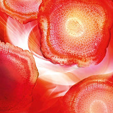 Carica l&#39;immagine nel visualizzatore di Gallery, L&#39;Oréal Paris Trattamenti Crema Viso Giorno Energizzante Anti-Rughe...