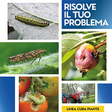 Carica l&#39;immagine nel visualizzatore di Gallery, Albagarden Bacillus Thuringiensis Kurstaki Insetticida Piante Biologico - Contro Parassiti, Insetti, Larve Dell&#39;orto E Giardino, polvere x 100 gr
