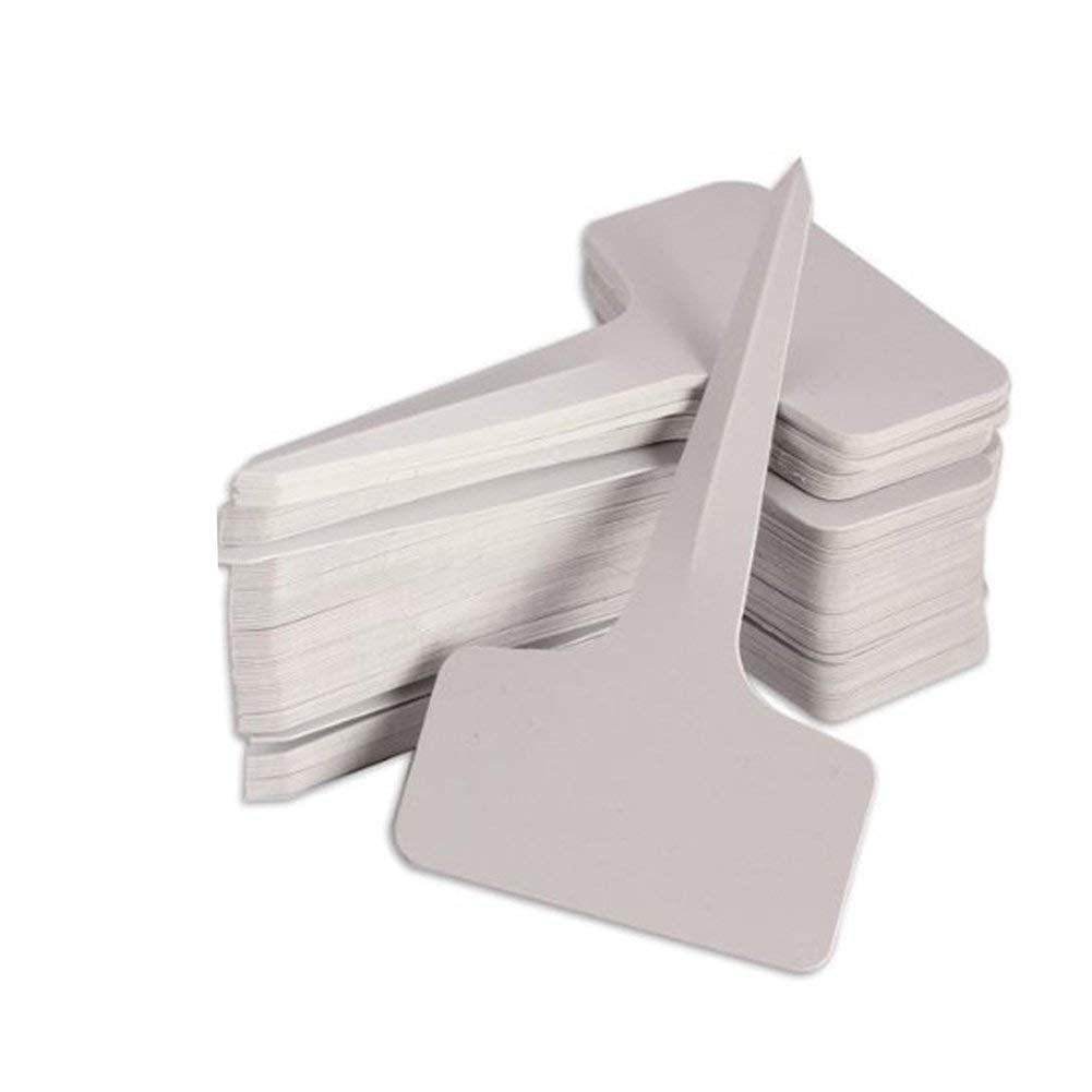 KINGLAKE 100 Pezzi marcatori di Piante in plastica 6*10*0.1cm, Bianco - Ilgrandebazar