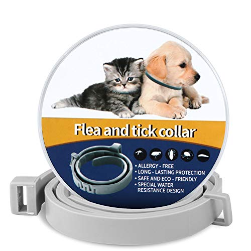 NINGBO CHANSON 60cm Collare Antipulci Cane Gatto, Antiparassitario...