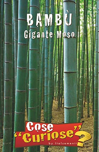 BAMBU' Gigante Moso (Phyllostachys edulis) - SEMI - Ilgrandebazar