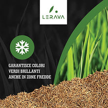 Carica l&#39;immagine nel visualizzatore di Gallery, LERAVA TURBO Semi da prato a germinazione rapida per zone fresche e climi continentali - garantisce colori verdi brillanti - con erba che cresce veloce - 30m²
