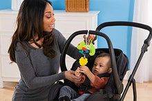 Carica l&#39;immagine nel visualizzatore di Gallery, LAMAZE L27531, Multicolore - Ilgrandebazar