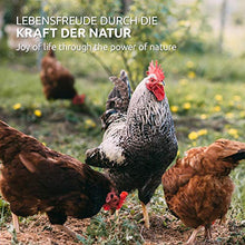 Carica l&#39;immagine nel visualizzatore di Gallery, AniForte Spray antiacaro per polli e pollame 500ml - Contro Acari e...