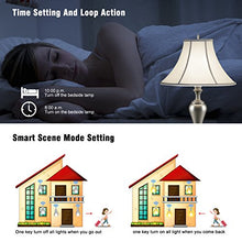 Carica l&#39;immagine nel visualizzatore di Gallery, eMylo Wireless Smart WiFi 90-250 V AC Interruttore luce Relè 2 Packs
