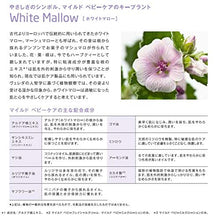 Carica l&#39;immagine nel visualizzatore di Gallery, Weleda Italia Baby Derma Malva Bianca Crema per il Viso - 50 ml. - Ilgrandebazar