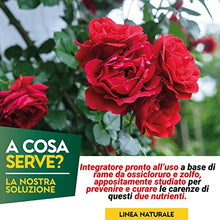 Carica l&#39;immagine nel visualizzatore di Gallery, Albagarden - Rame + Zolfo Spray 1 Litro - Concime Effetto Fungicida Piante Contro Le Malattie - Per Ingiallimenti, Carenze, Macchie Brune, Oidio, Peronospora - Per Orto Giardino E Piante Verdi