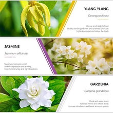 Carica l&#39;immagine nel visualizzatore di Gallery, Oli Essenziali Aromaterapia ESSLUX Fiori Per Diffusori Olio... - Ilgrandebazar