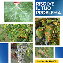 Carica l&#39;immagine nel visualizzatore di Gallery, Albagarden - Zolfo in Polvere bagnabile - Concime Minerale Naturale, Biologico, Pronto da Utilizzare con Fungicida Acaricida Oidio Mal Bianco Peronospora Ticchiolatura per Vite Olivo Agrumi X 1 kg