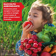 Carica l&#39;immagine nel visualizzatore di Gallery, Albagarden - Calcio Per Pomodori Liquido Concime Orto Nitrato Di Calcio Fertilizzante Piante Cura Del Marciume Apicale Nero Alta Concentrazione Ricco In Magnesio Azoto Potassio Calcio Liquido x 1 Kg