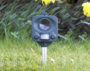 PestBye Repellente per Gatti - Scaccia (Batterie) Batterie - Ilgrandebazar