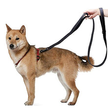 Carica l'immagine nel visualizzatore di Gallery, HRYSPN Guinzaglio per Cani Taglia Grande, Riflettente e di Nylon Guinzaglio,...