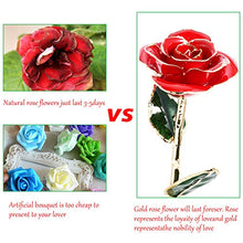 Carica l'immagine nel visualizzatore di Gallery, Gomyhom Eternal Rose, Rose con Supporto e Bella Scatola, Rosso Con - Ilgrandebazar