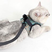Carica l'immagine nel visualizzatore di Gallery, EVEL Set di Pettorina e guinzaglio per Gatti, Ultra Leggero L, Verde chiaro