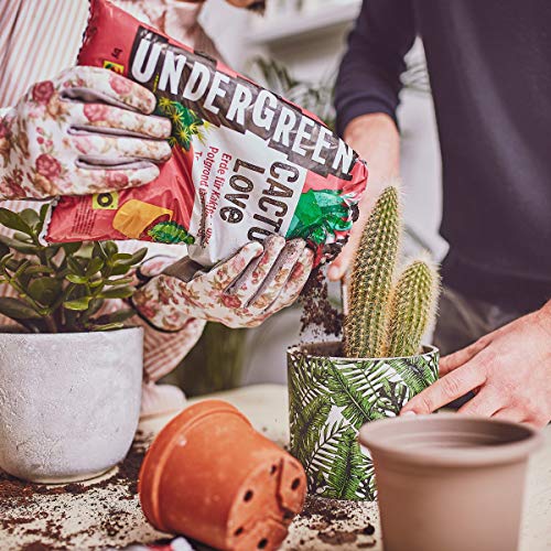 Undergreen CACTUS Love, Terriccio per Cactus e altre Piante Grasse da –  Ilgrandebazar.it