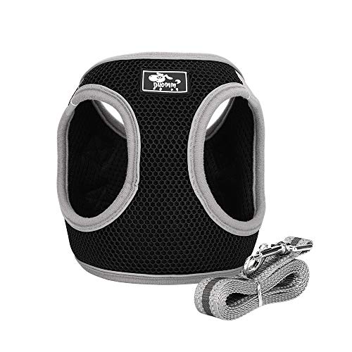 HALOVIE Pettorina per Gatto Cane con Guinzaglio da 1.5M Gilet XL, nero