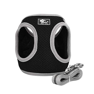 HALOVIE Pettorina per Gatto Cane con Guinzaglio da 1.5M Gilet XL, nero