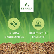 Carica l&#39;immagine nel visualizzatore di Gallery, LERAVA CHAMPION - semi prato resistente - sementi prato resistenti alla siccità - seme prato poca acqua - calpestabile - adatti a tutti i luoghi e tipi di terreno - 30m²