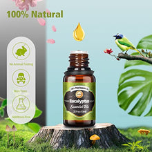 Carica l&#39;immagine nel visualizzatore di Gallery, Oli Essenziali per Diffusori, Set di olio essenziale 12 x 10 ml, Essenze Naturali olio essenziale,Tea Tree Lavanda Rosmarino Eucalipto Ylang-ylang Incenso Citronella Arancia Menta Limone Bergamotto