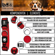 Carica l'immagine nel visualizzatore di Gallery, DDOXX Collare Cane Nylon, Regolabile | Tanti XS - 1,0 x 21-30 cm, Arancione