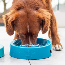 Carica l&#39;immagine nel visualizzatore di Gallery, hownd Hero Bowl Ocean Blue