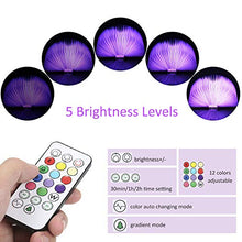 Carica l&#39;immagine nel visualizzatore di Gallery, Lampada Libro RGB,Tomshine Led a Forma di Libro,12 colori che...