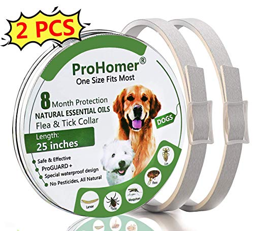 PROZADALAN [2 PCS] Collare Antipulci Cane, Antiparassitario per Cani per...
