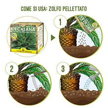 Carica l&#39;immagine nel visualizzatore di Gallery, I Consigli Dell&#39;Esperto Cycasana Concime Specifico per Cycas