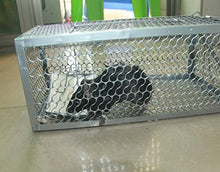 Carica l&#39;immagine nel visualizzatore di Gallery, skycabin Prodotto Anti-Roditori, Ferro Gabbia Trappola Professionale per La...