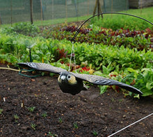 Carica l&#39;immagine nel visualizzatore di Gallery, Defenders - Esca volante a forma di falco 9.4x51.5x33.3 cm, Multicolore