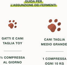 Carica l'immagine nel visualizzatore di Gallery, 2