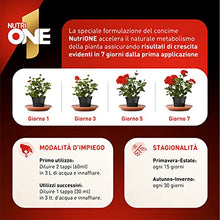 Carica l'immagine nel visualizzatore di Gallery, NUTRI 1 ONE NutriONE Concime concentrato per Piante e Fiori, 1 litro, 1000 unità